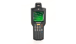 motorola